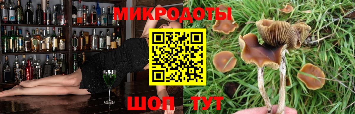 Псилоцибиновые грибы Cubensis Костомукша